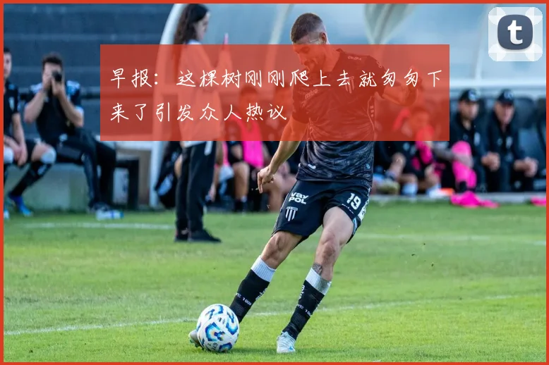 早报：这棵树刚刚爬上去就匆匆下来了引发众人热议