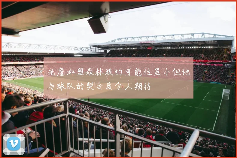老詹加盟森林狼的可能性虽小但他与球队的契合度令人期待
