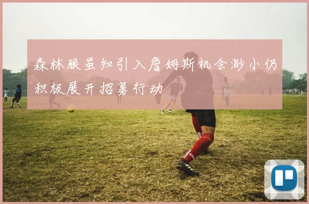 森林狼虽知引入詹姆斯机会渺小仍积极展开招募行动